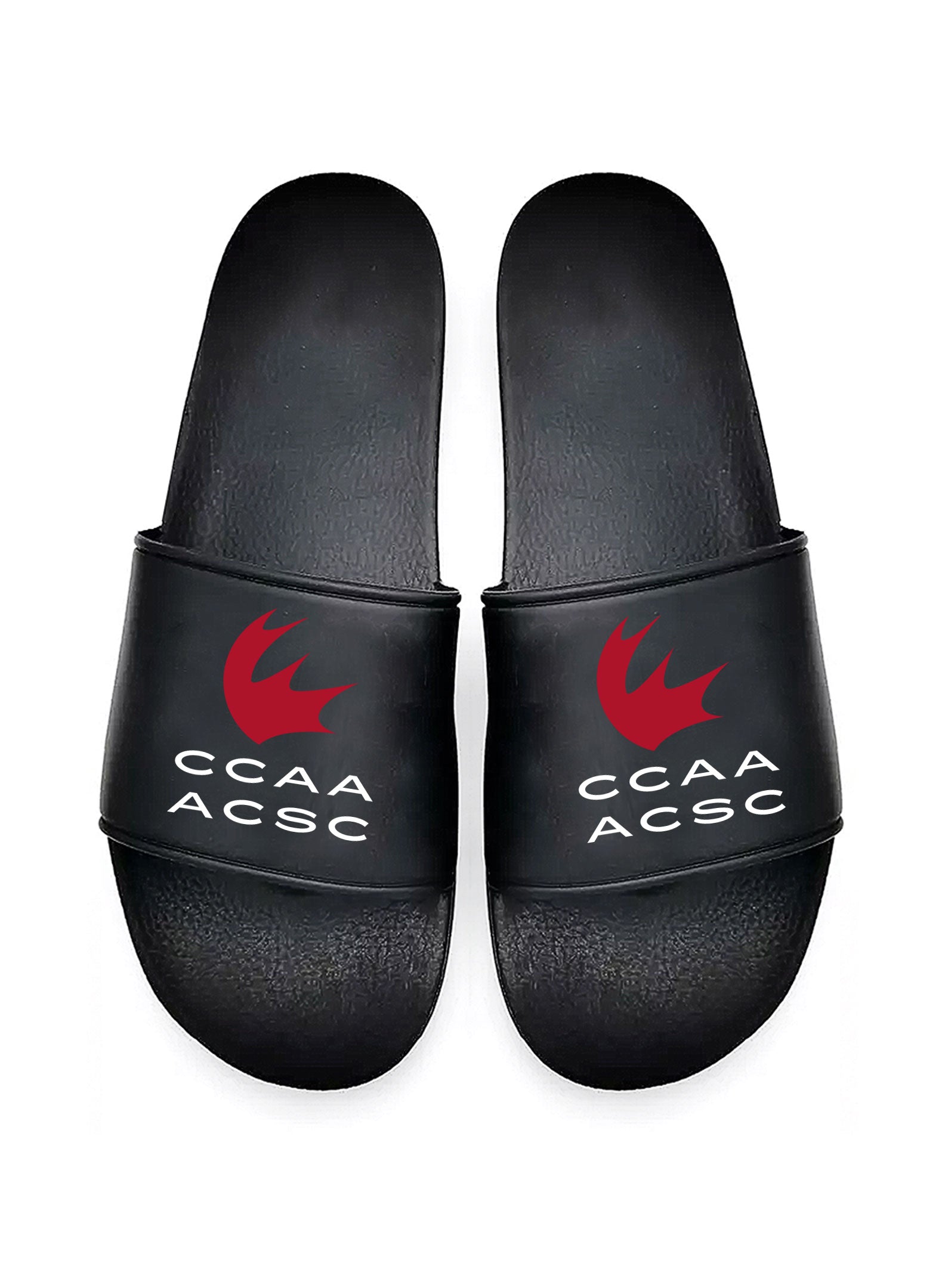 CCAA Black Slides