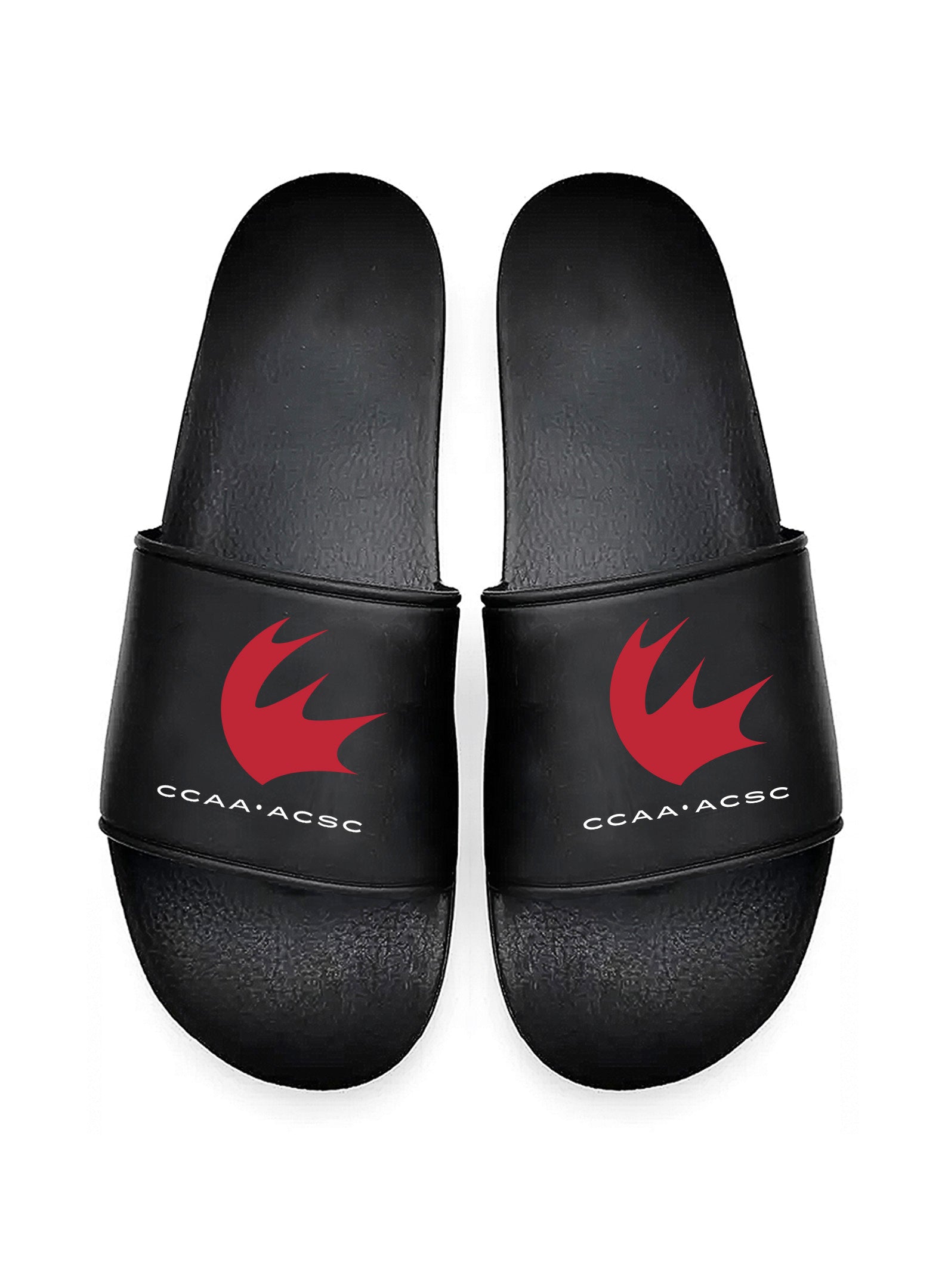 CCAA · ACSC Black Slides